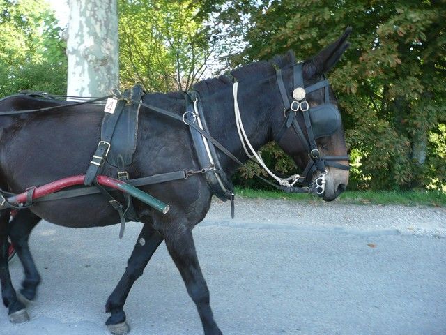 dimanche (35).jpg
